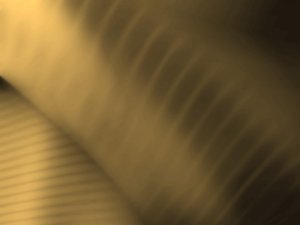 预算管理体系搭建的五个阶段